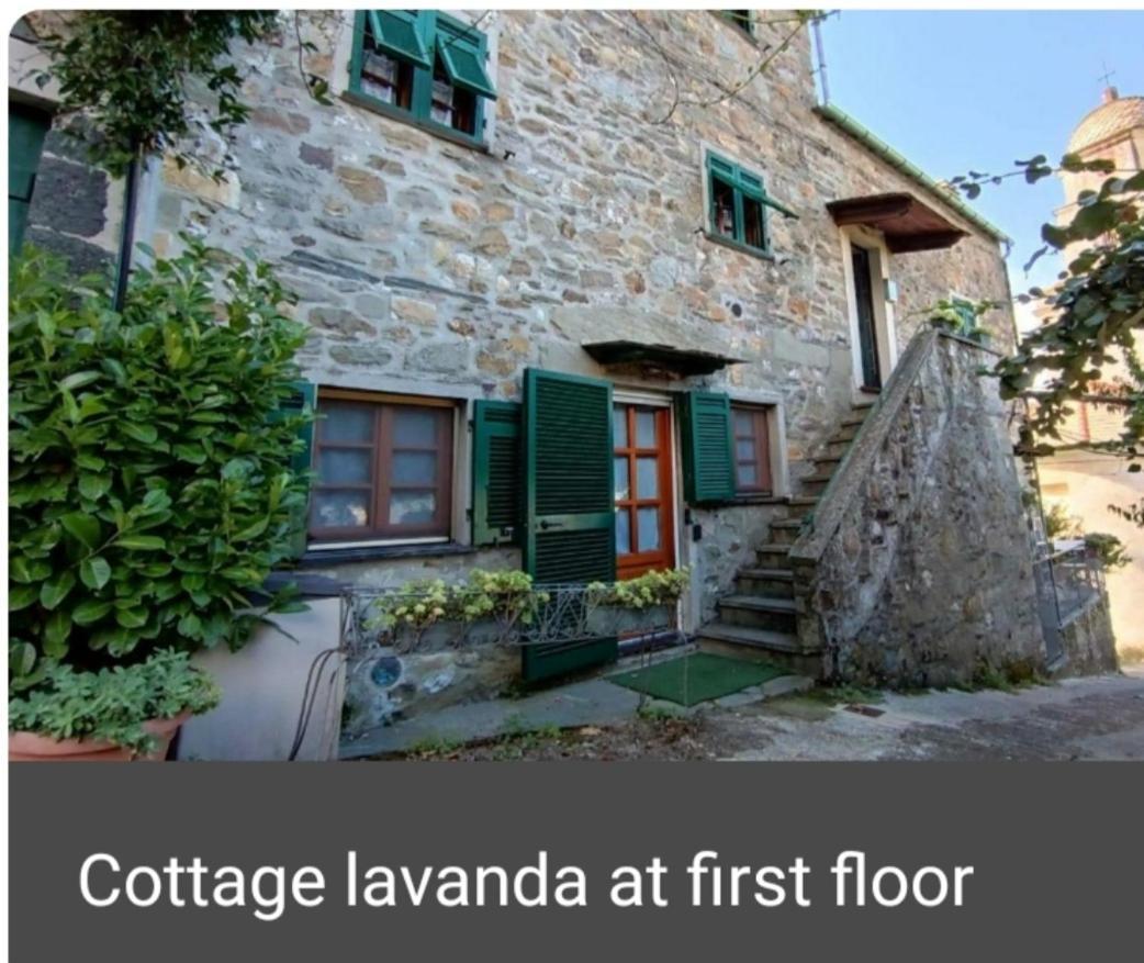 Cottage Lavanda เลวานโต ห้อง รูปภาพ
